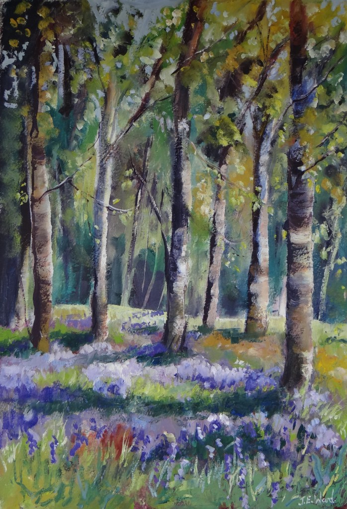 Bluebell Glade