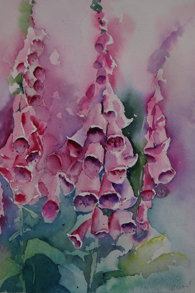 Foxgloves